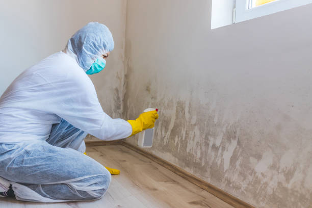 Hvac And Air Duct Mold Remediation inspection of HVAC system in Williamston